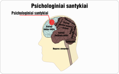 psichologiniai santykiai wire