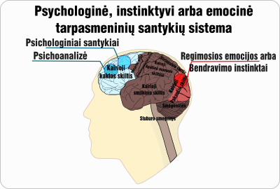psichologinis instinktyvus emocinis