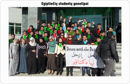 egipto studentai