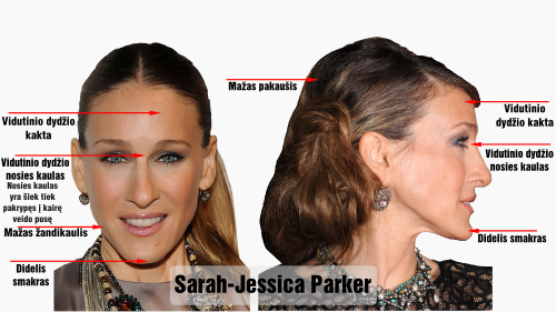 linkolnas voltoido genotipo sarah jessica parker veido bruozai