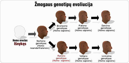 ramzis ramzio genotipu evoliucija
