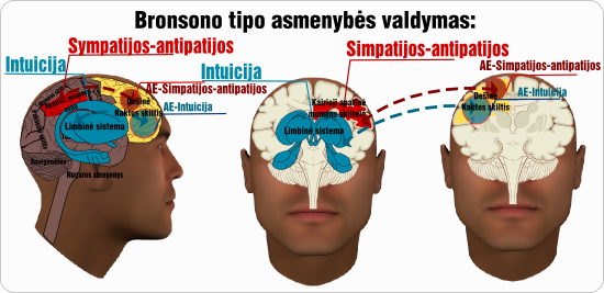 Bronsono asmenybes valdymas