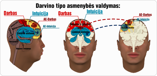 Darvino asmenybes valdymas