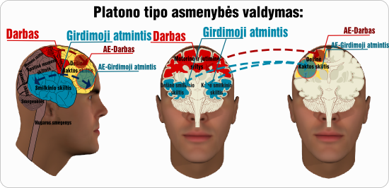 Platono asmenybes valdymas