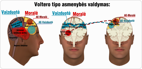 Voltero asmenybes valdymas