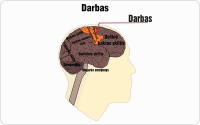 darbas wire