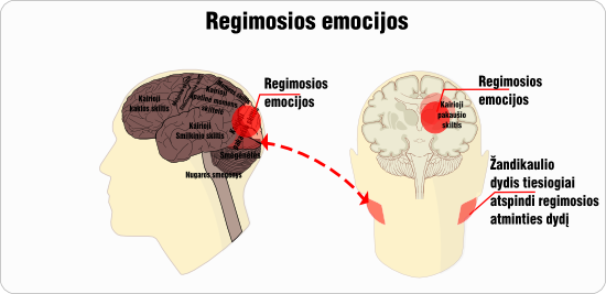 regimosios emocijos schema