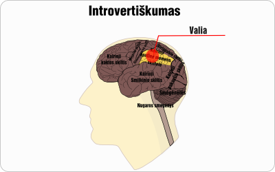 valia introvertiskumas wire