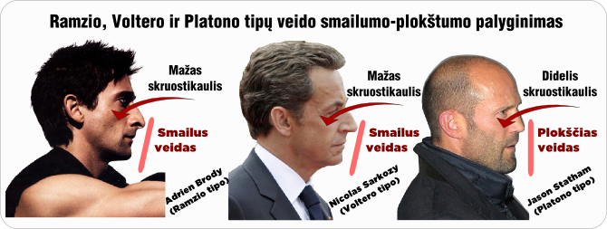 Brody sarkozy statham smailumas plokstumas