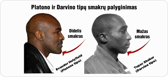 Evander Holyfield tupac shakur smakras