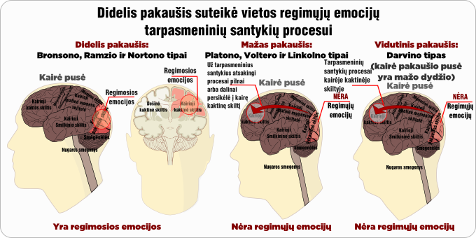 didelis pakausis regimosios emocijos