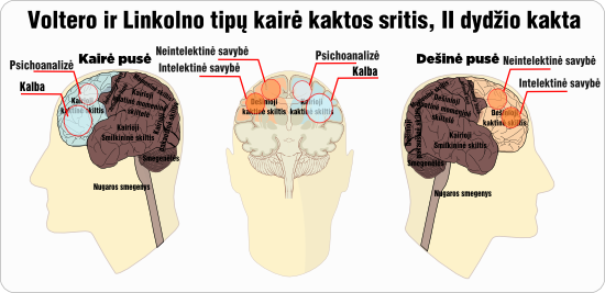 voltero linkolno kakta