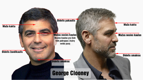 bronsonas george clooney bruozai