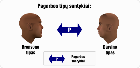 bronsonas pagarbos tipu santykiai