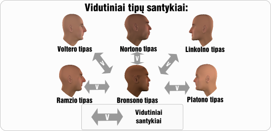 bronsonas vidutiniai tipu santykiai