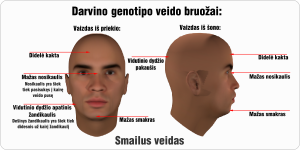 darvinas darvino genotipo veido bruozai