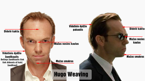 darvinas hugo weaving veido bruozai 