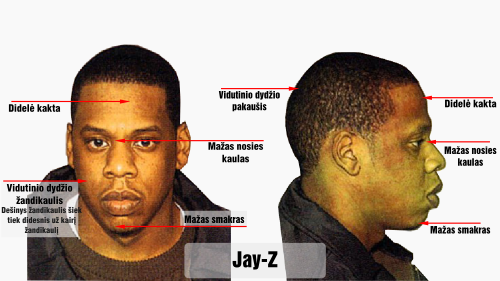 darvinas jay z veido bruozai