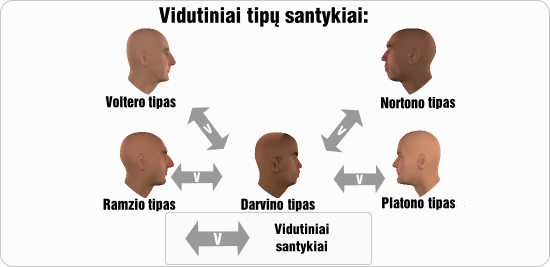 darvinas vidutiniai tipu santykiai