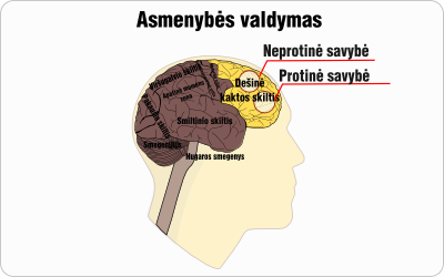 asmenybes valdymas schema