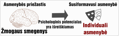 smegenys asmenybe