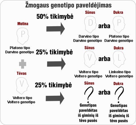 zmogaus genotipo paveldejimas3