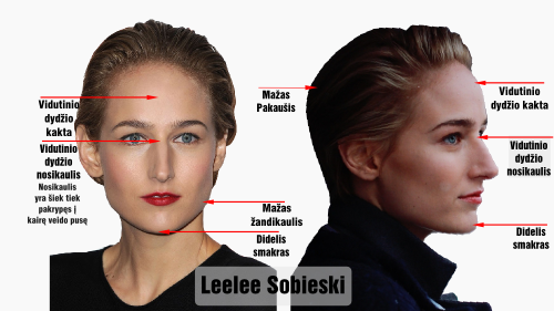 linkolnas leelee sobieski veido bruozai