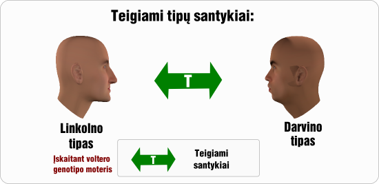 linkolnas teigiami tipu santykiai