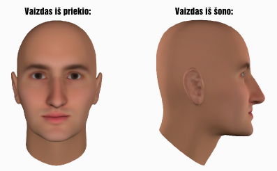 linkolnas tipo modelis