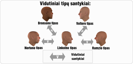 linkolnas vidutiniai tipu santykiai