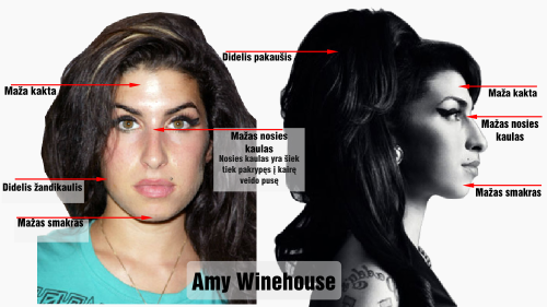 nortonas amy winehouse veido bruozai