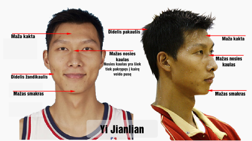 nortonas jianlian veido bruozai