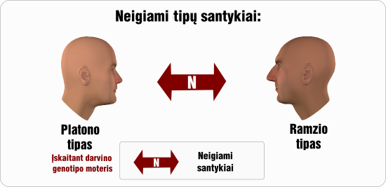 platonas neigiami tipu santykiai