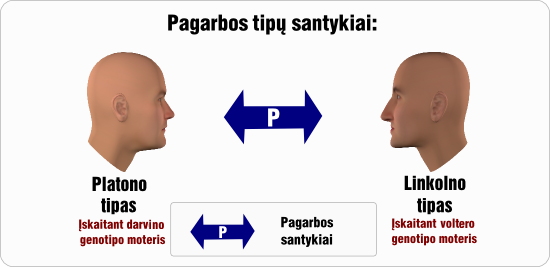 platonas pagarbos tipu santykiai