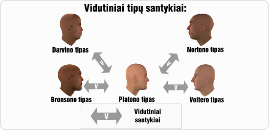 platonas vidutiniai tipu santykiai