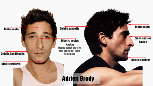 ramzis adrien brody bruozai