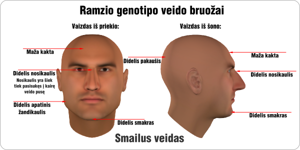 ramzis ramzio genotipo veido bruozai