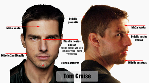 ramzis tom cruise veido bruozai