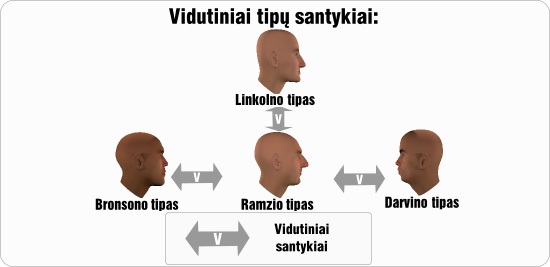 ramzis vidutiniai tipu santykiai