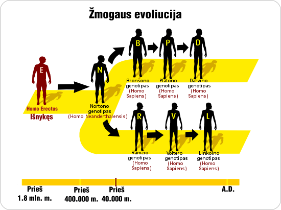 evoliucijos juosta
