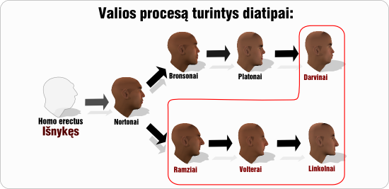 valia tipu evoliucija