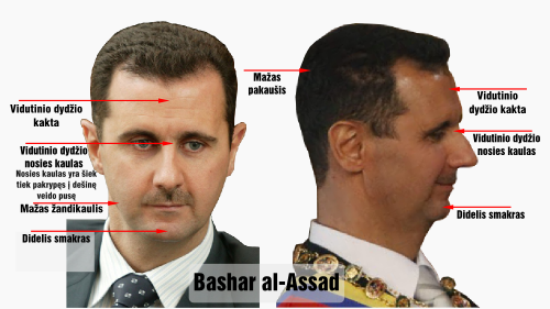 volteras bashar al assad veido bruozai