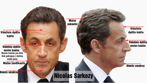 volteras nicolas sarkozy veido bruozai