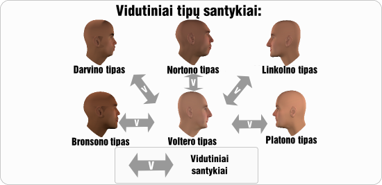 volteras vidutiniai tipu santykiai